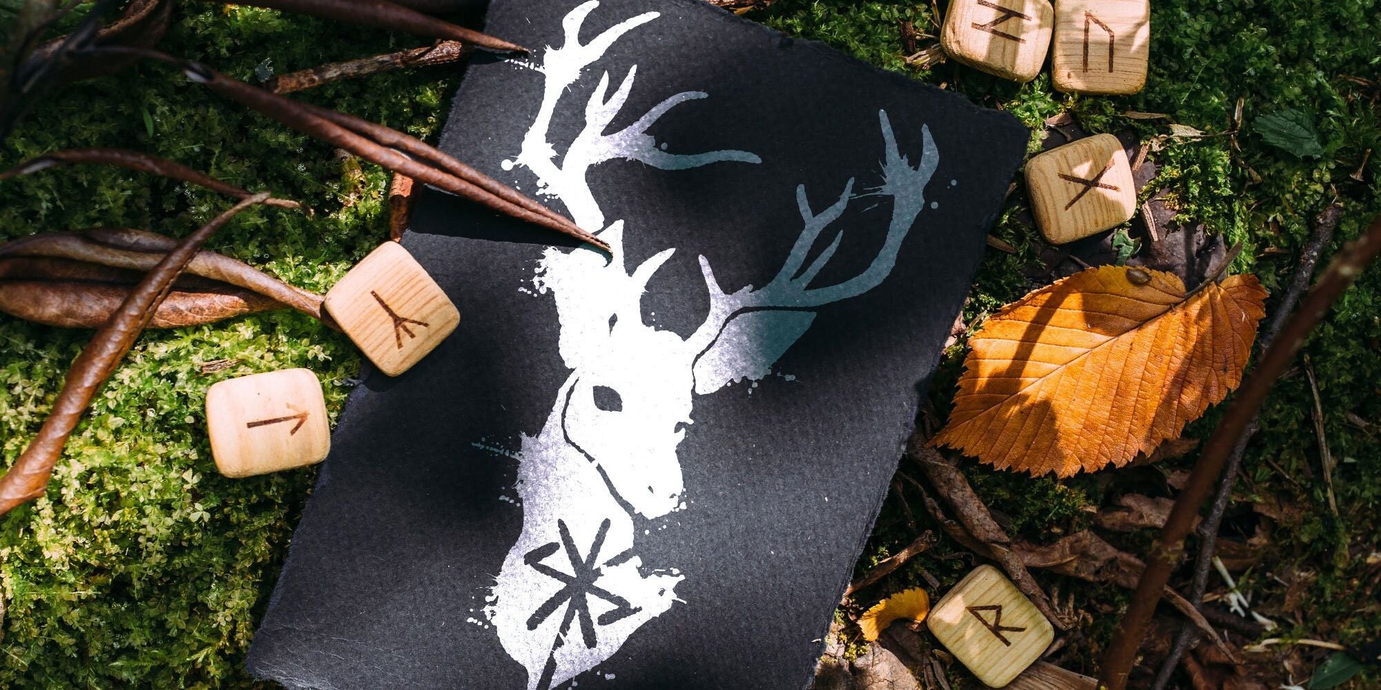 Les Symboles du Lion, Tout ce Qu’il Faut Savoir