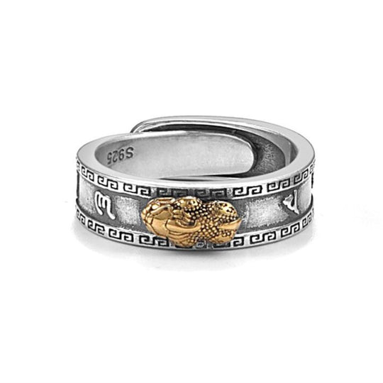 Bague Feng Shui Pixiu Mantra